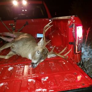 Meet your Posher, Jason